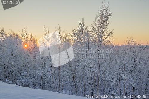 Image of winter Landscape.