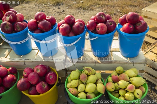 Image of Fruits.