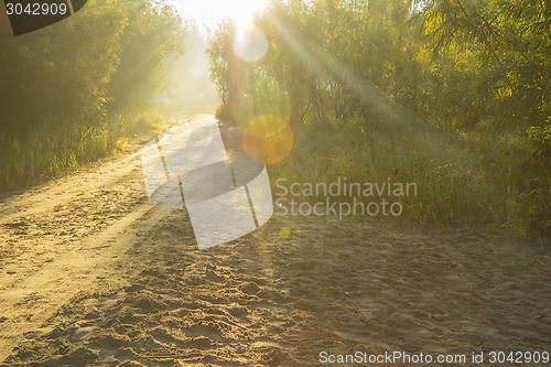 Image of summer landscape