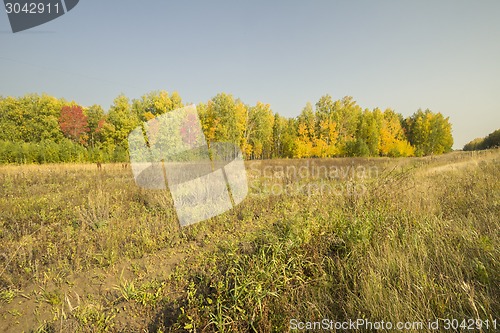 Image of autumn sketches.