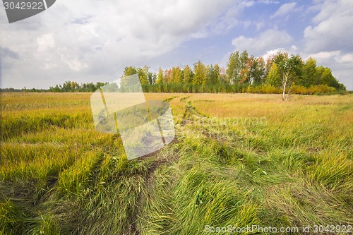 Image of autumn sketches.