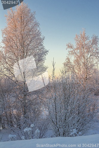 Image of winter Landscape.