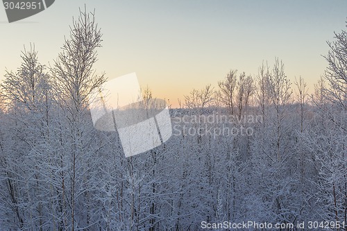 Image of winter Landscape.