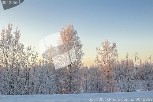 Image of winter Landscape.