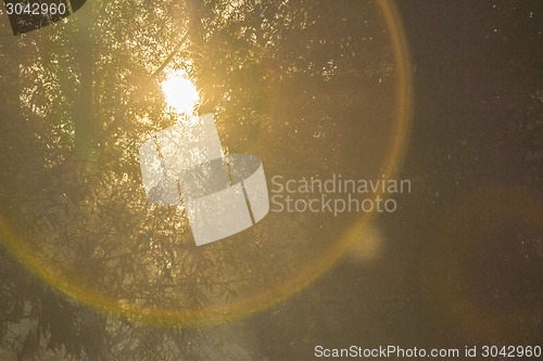 Image of   summer landscape