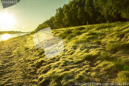 Image of   summer landscape