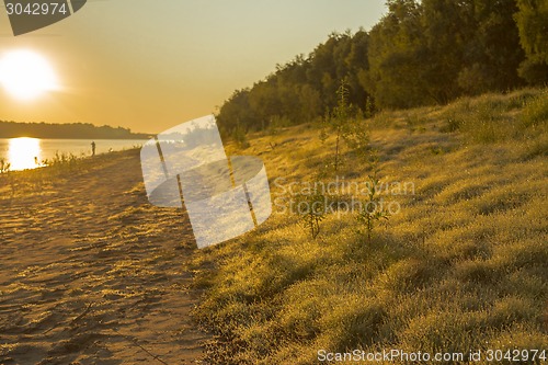 Image of  summer landscape