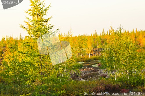 Image of   Landscapes of the Far North