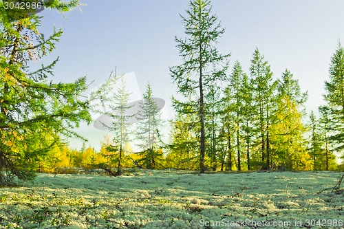 Image of   Landscapes of the Far North