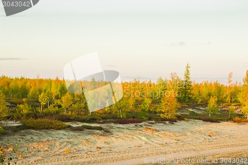 Image of   Landscapes of the Far North