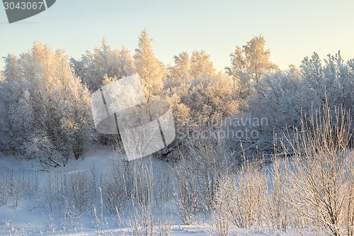 Image of winter Landscape.