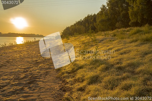 Image of  summer landscape