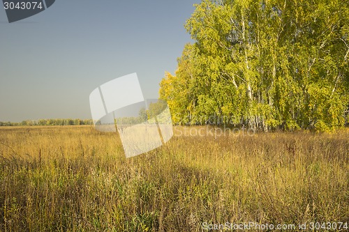 Image of autumn sketches.