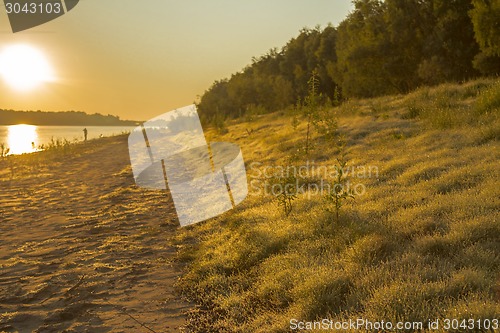 Image of  summer landscape