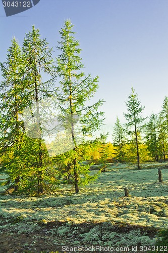 Image of   Landscapes of the Far North