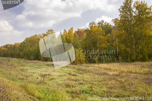 Image of autumn sketches.