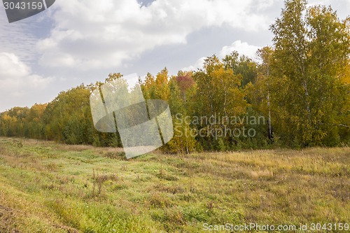 Image of autumn sketches.