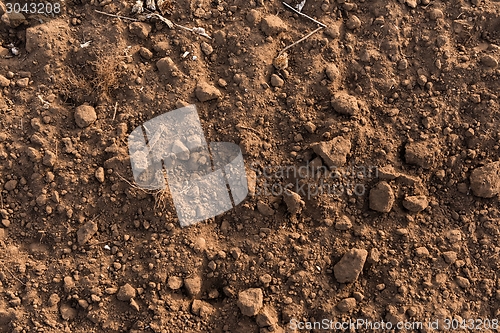 Image of Dry soil closeup before rain