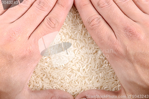 Image of White rice background