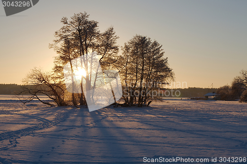 Image of Winter Landscape