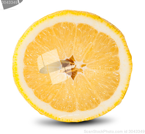 Image of Slice Of Fresh Lemon