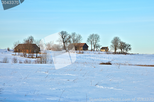 Image of Winter Landscape