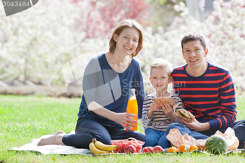 Image of family picnic