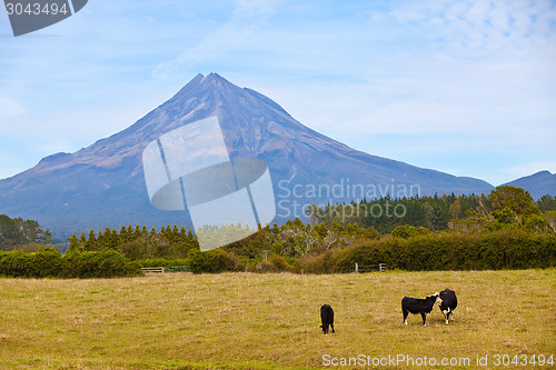 Image of mount taranaki in new zealand