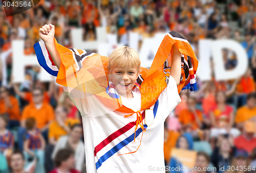 Image of Sports fan in a stadium