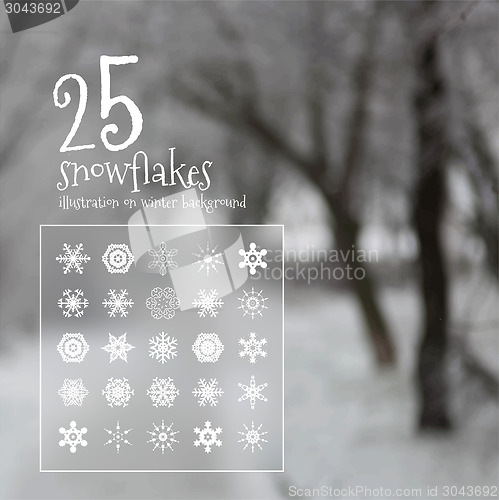 Image of 25 vector snowflakes