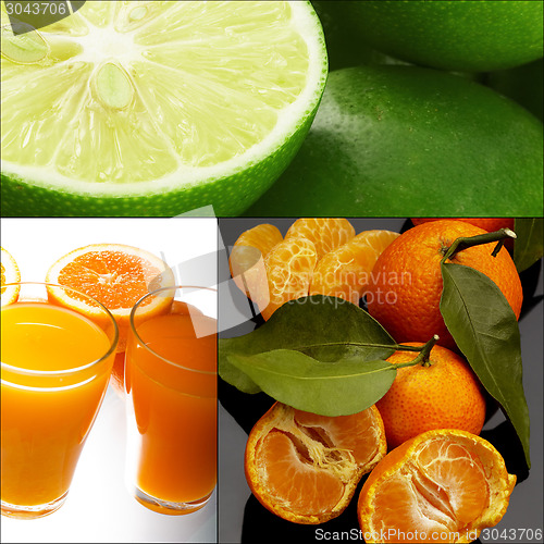 Image of citrus fruits collage