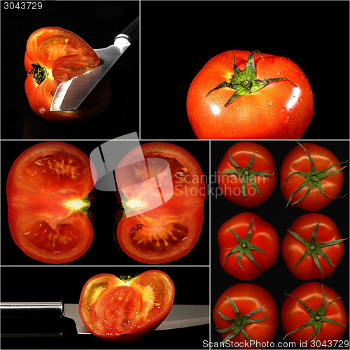 Image of tomatoes collage