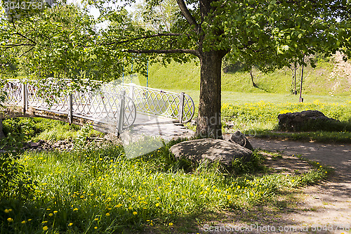 Image of Poplar near the bridge over the river in summer