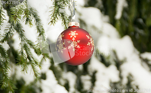 Image of Christmas red ball in winter forest 