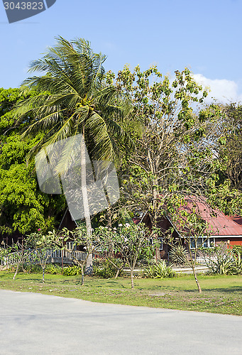 Image of Cosy cottage among palm trees