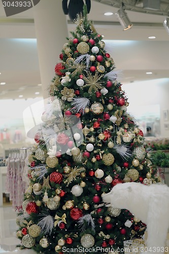 Image of Christmas tree