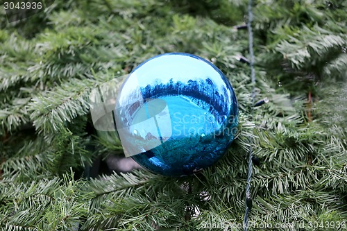 Image of Christmas tree