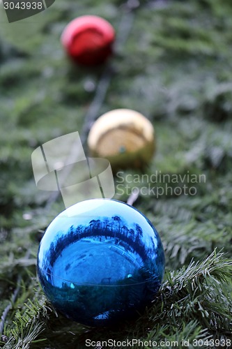 Image of Christmas tree