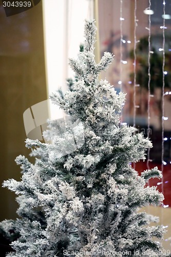 Image of Christmas tree