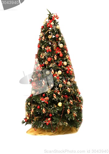 Image of Christmas tree