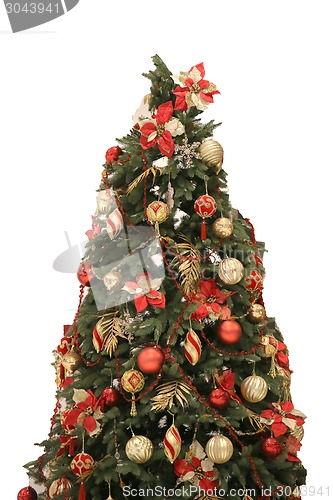 Image of Christmas tree