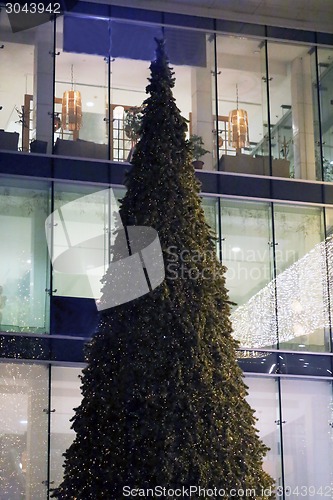Image of Christmas tree