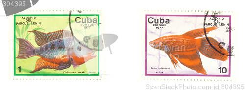 Image of Cuba stamps with fish