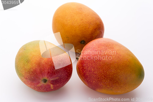 Image of Three Ripe Mangos With Impeccable Skin On White