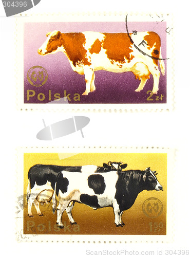 Image of Old postage stamps from Poland