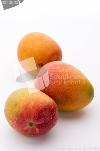 Image of Three Ripe Mangos, Mangifera indica, On White