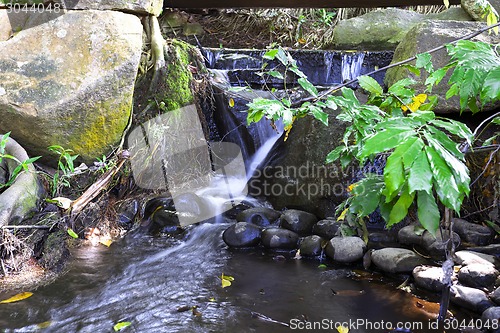 Image of Forest Creek.