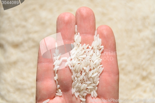 Image of White rice background