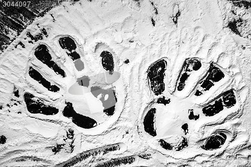 Image of Hand prints in flour