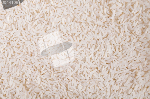 Image of White rice background